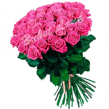 51 рожева троянда 80 см