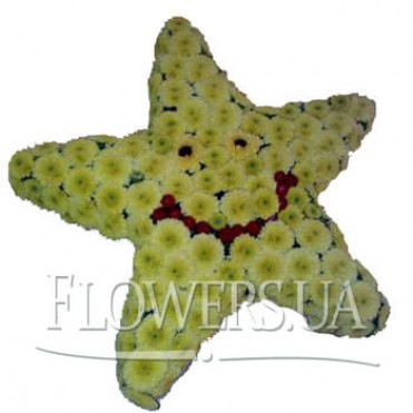 Звездочка моя