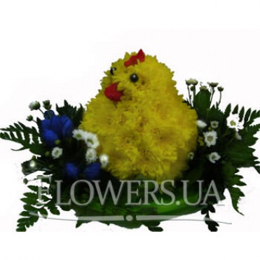 Забавный цыпленок