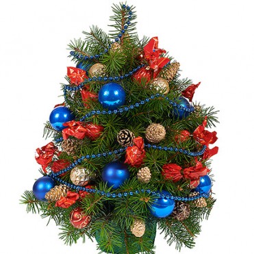 Ёлка "Новогодняя ночь"