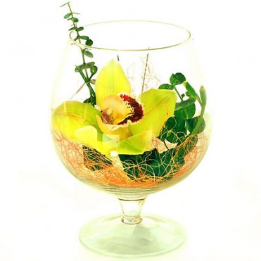 Орхідея у келиху