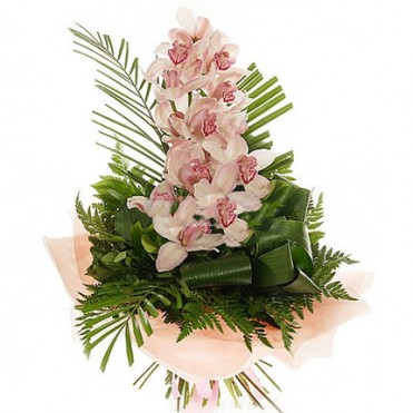 Гілка Орхідей