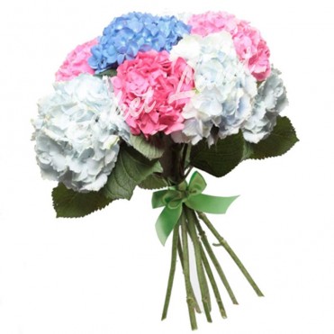 9 гортензії мікс