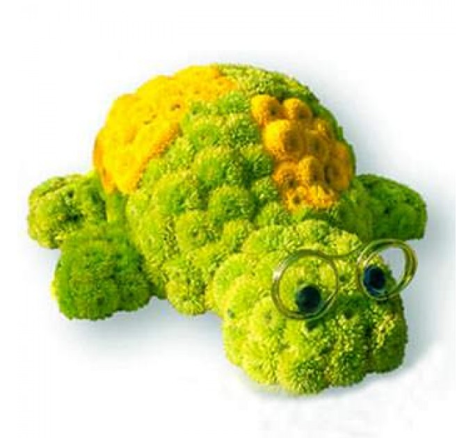 Черепаха Тортилла