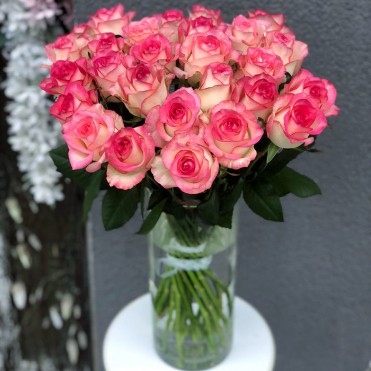 Роза Джумилия 